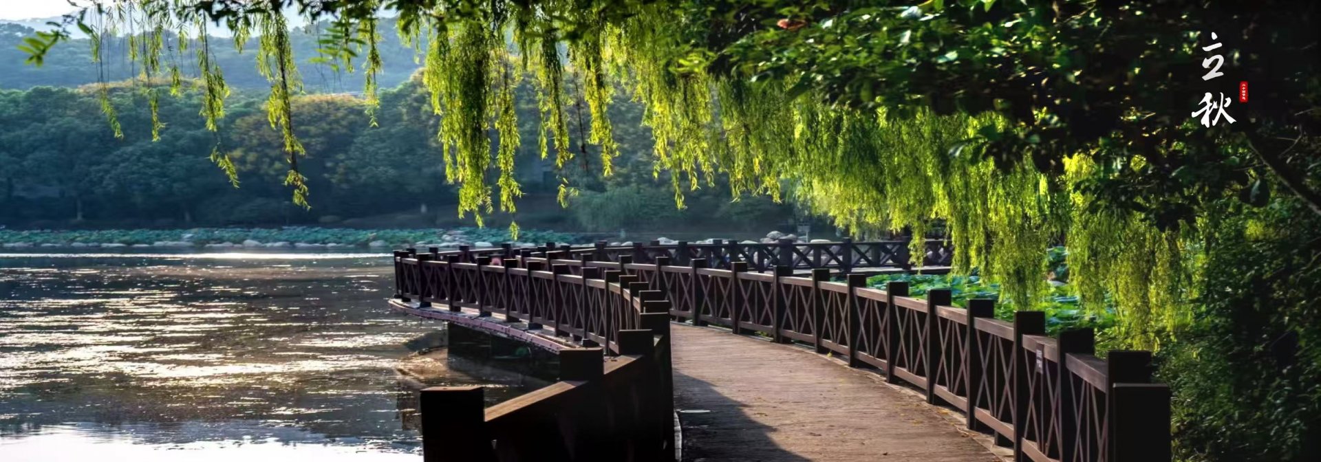 我校学子在第十七届中国大学生物理学术